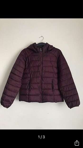 Koton mont