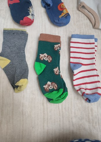 Çocuk Çok Renkli Pamuklu Çorap Seti - Görsel 4