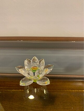 Kristal cam lotus cicegi