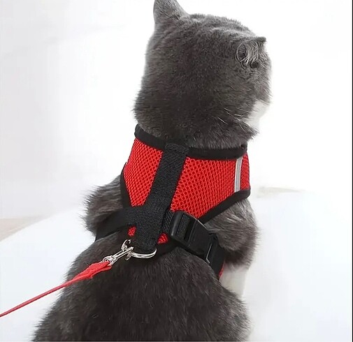 Beden Kedi köpek göğüsten bağlamalı gezdirme tasması