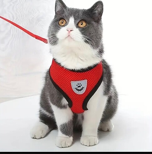 Beden Renk Kedi köpek göğüsten bağlamalı gezdirme tasması
