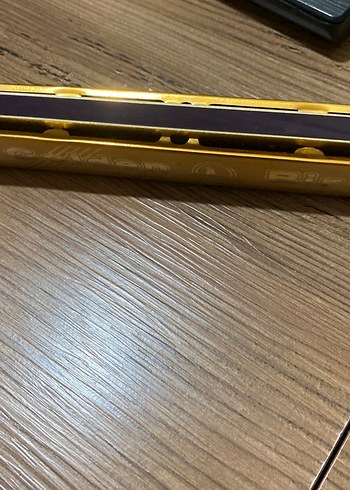 Mızıka - Görsel 3