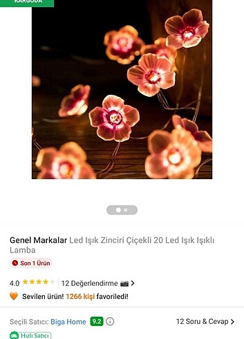 Çiçek desenli LED ışıklı lamba 