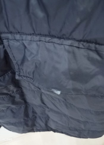 US Polo erkek mont - Görsel 2