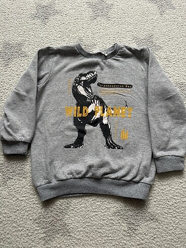 Koton Sweatshirt