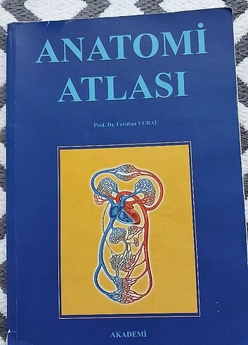 anatomi atlas