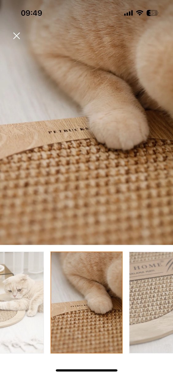 Bej Kedi Kafa Modeli Tırmalama Tahtası - Görsel 3