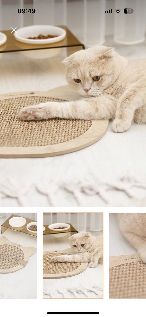 Bej Kedi Kafa Modeli Tırmalama Tahtası - Görsel 2