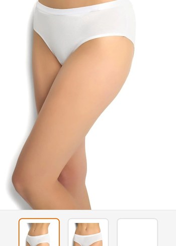 Bambu külot - Görsel 2