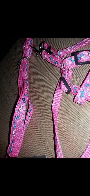 Accessorize Kedi tasması