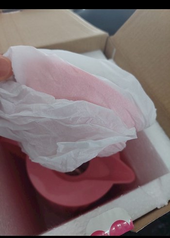 Beden Altın Kuşlu Pembe Termos