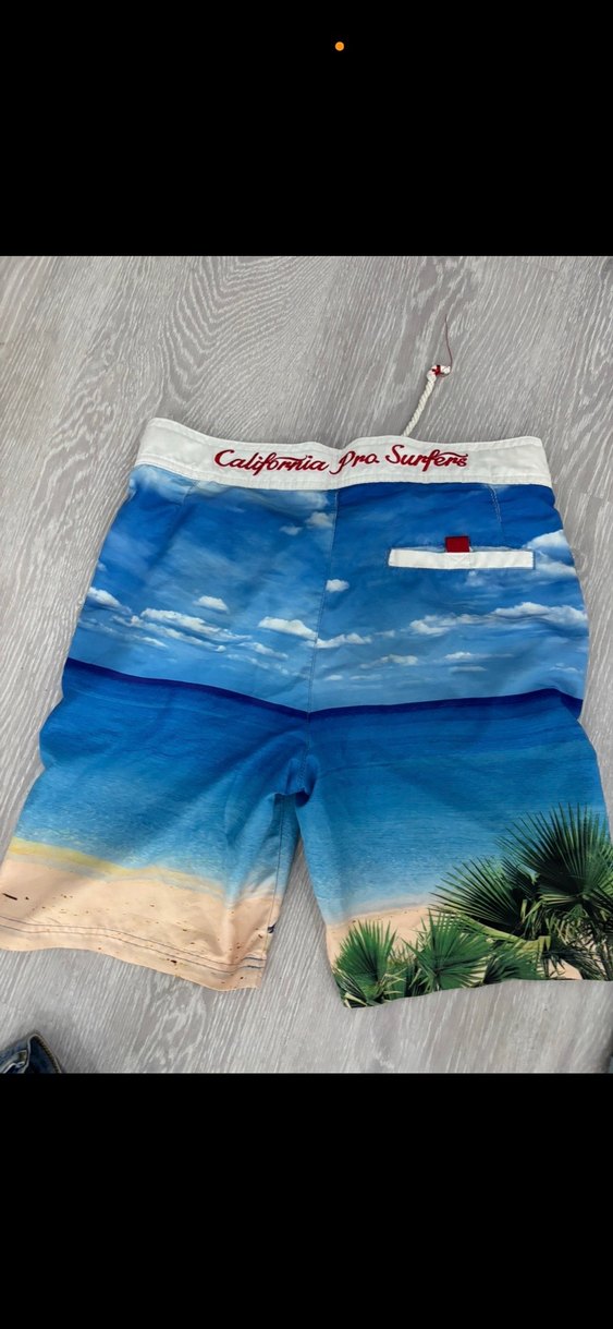 Mavi Baskılı Mini Erkek Deniz Şortu - Görsel 2