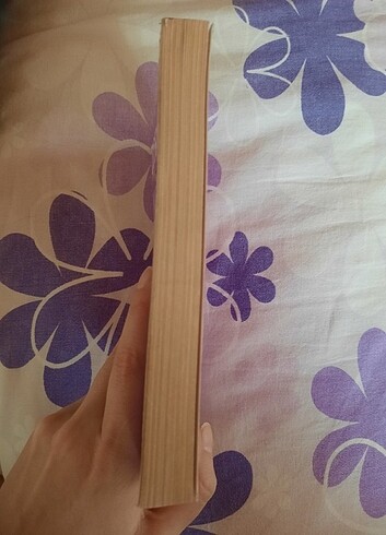 Özdemir Asaf Yalnızlık Paylaşılmaz kitabı - Görsel 2