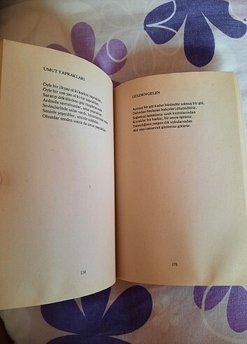 Özdemir Asaf Yalnızlık Paylaşılmaz kitabı - Görsel 3