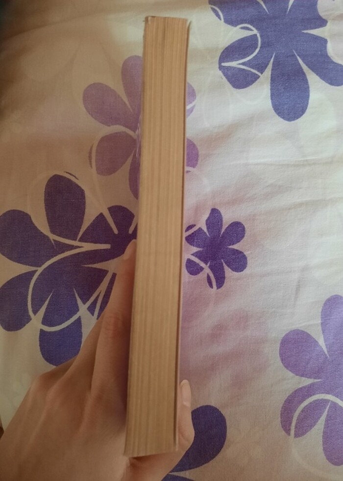 Özdemir Asaf Yalnızlık Paylaşılmaz kitabı - Görsel 2