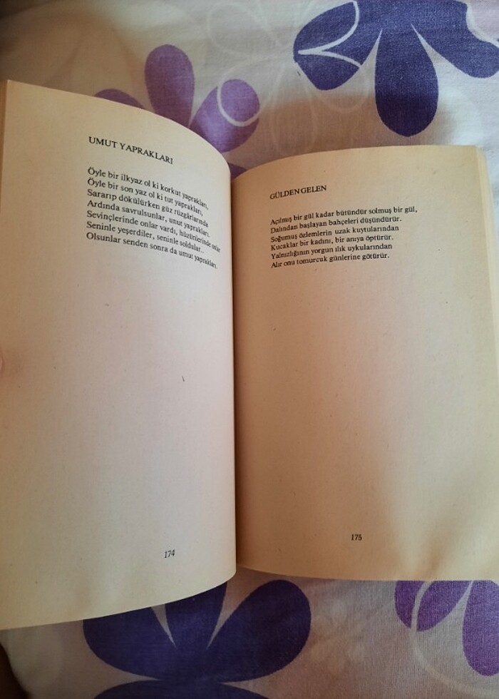 Özdemir Asaf Yalnızlık Paylaşılmaz kitabı - Görsel 3