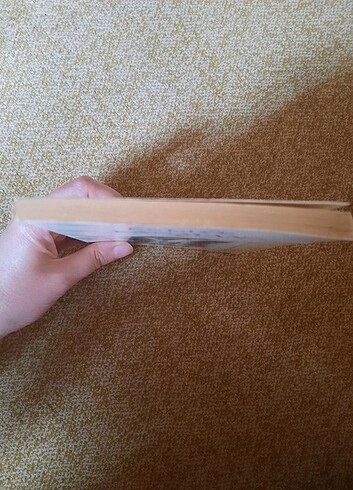 Erdal Öz Kanayan Can yayınları - Görsel 5