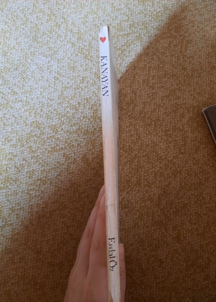 Erdal Öz Kanayan Can yayınları - Görsel 3