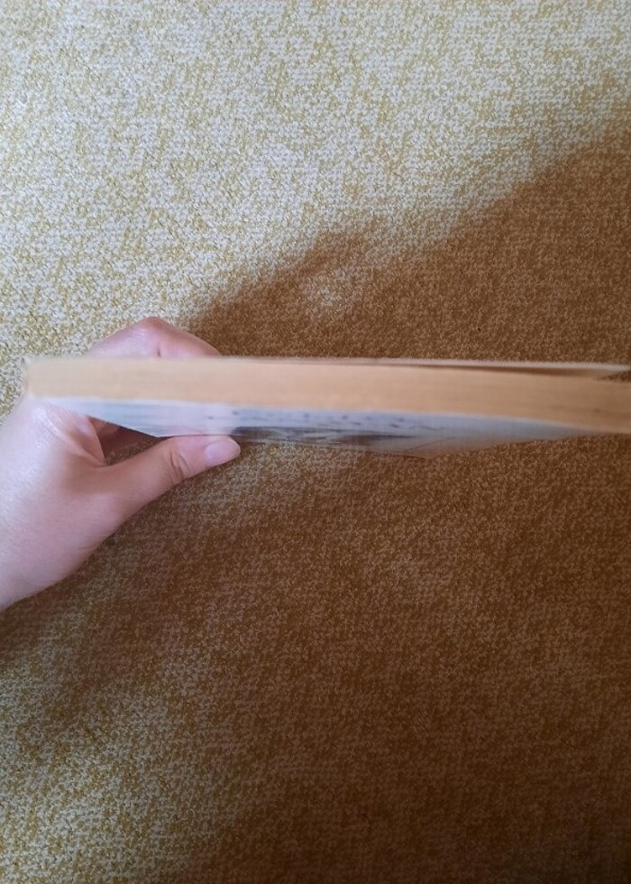 Erdal Öz Kanayan Can yayınları - Görsel 5