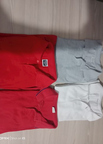 Gri Kısa Kollu Erkek Polo Tişört