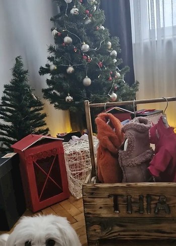 Köpek Dolabı - Görsel 2