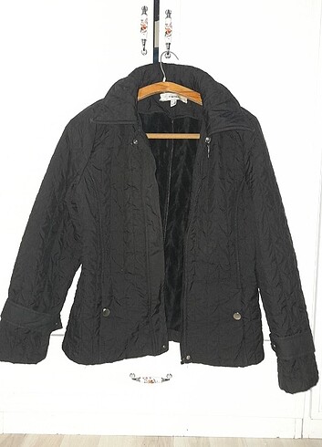Koton mont