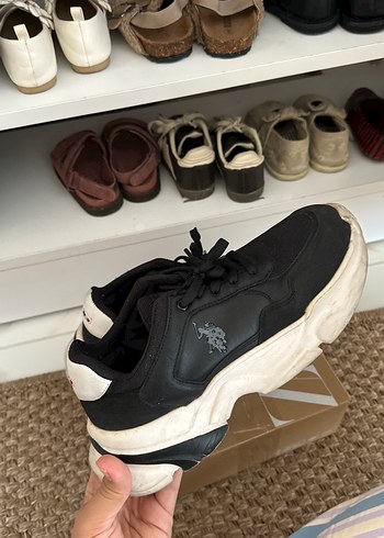 U.S Polo Assn. Siyah Beyaz Kalin Tabanli Sneaker