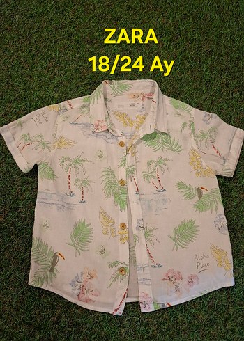 Zara 18-24 Ay