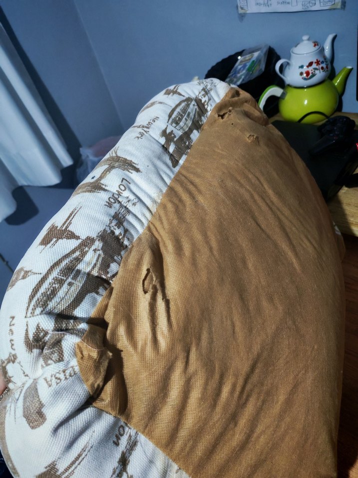 Kedi köpek yatağı - Görsel 3