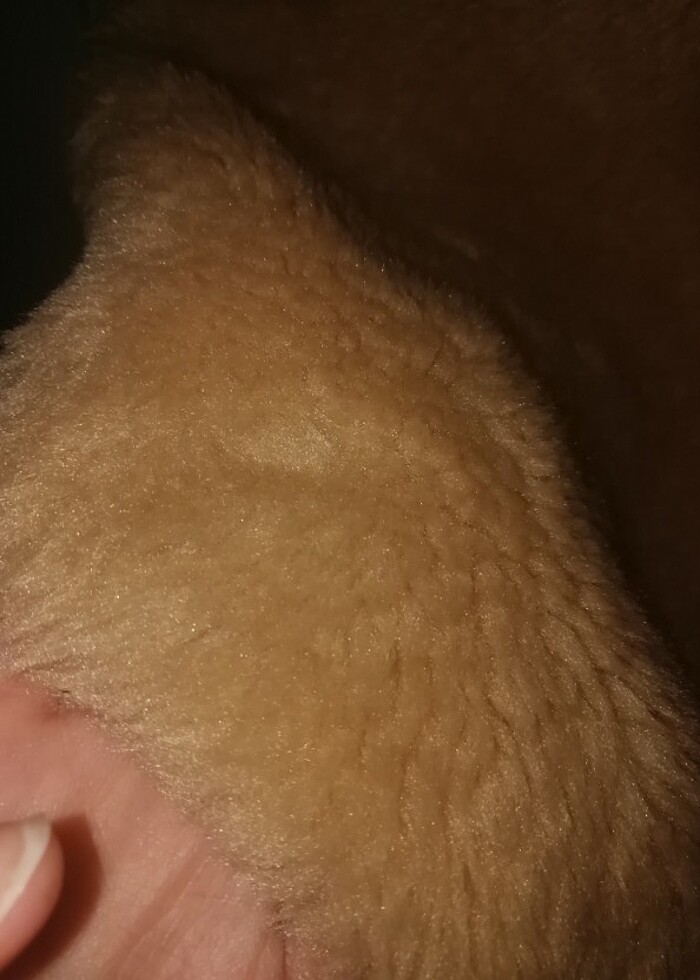 Bershka suni kürk kaban - Görsel 5