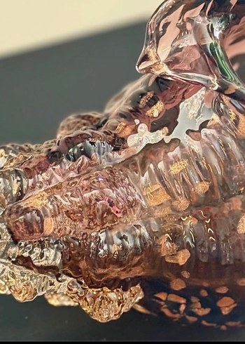 CAM AMBER DENİZ KABUĞU - Görsel 5