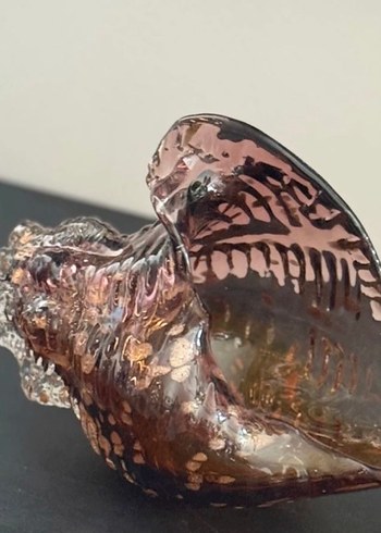 CAM AMBER DENİZ KABUĞU - Görsel 4