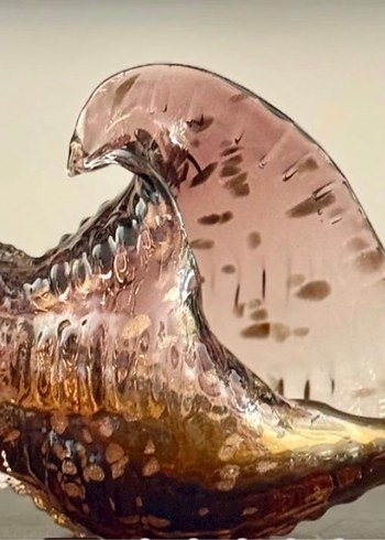 CAM AMBER DENİZ KABUĞU - Görsel 3