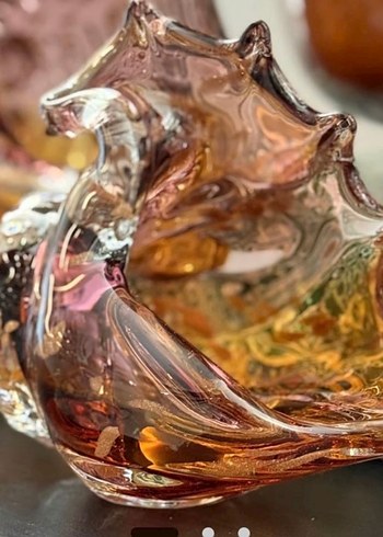 CAM AMBER DENİZ KABUĞU - Görsel 2