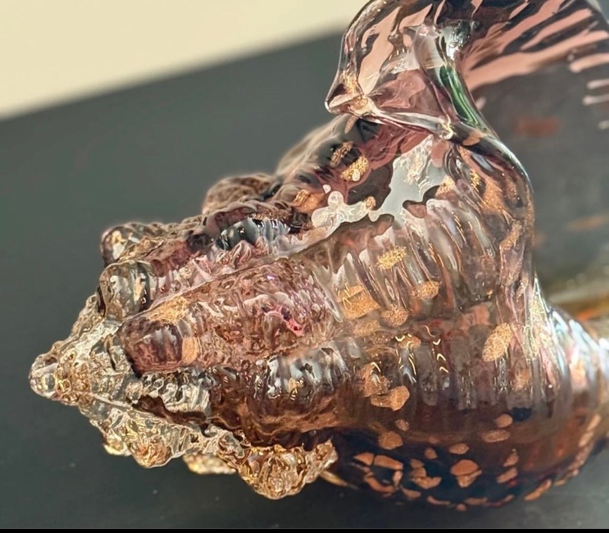 CAM AMBER DENİZ KABUĞU - Görsel 5