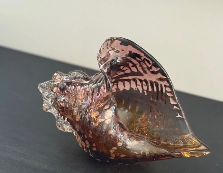 CAM AMBER DENİZ KABUĞU - Görsel 4