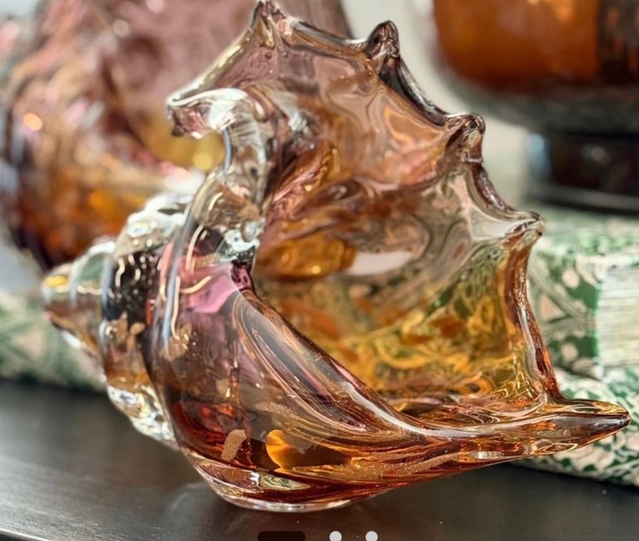 CAM AMBER DENİZ KABUĞU - Görsel 2