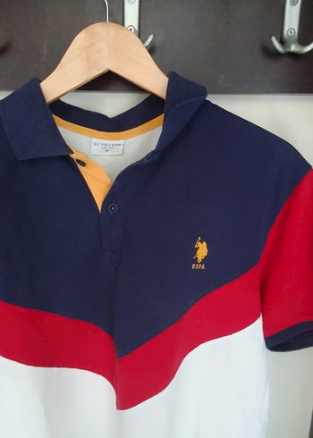 m Beden U.S. Polo Assn. Erkek Renkli Polo Tişört
