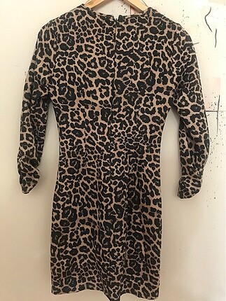 Zara Zara Leopar ???? desen elbise