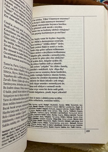 Safahat - Mehmet Akif Ersoy - Görsel 2