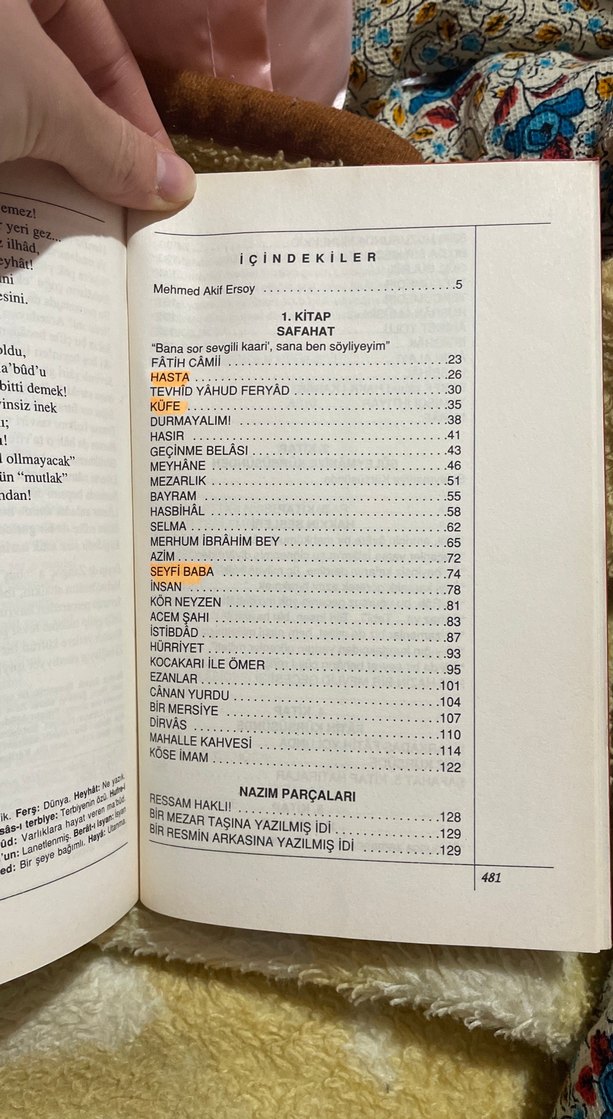 Safahat - Mehmet Akif Ersoy - Görsel 3