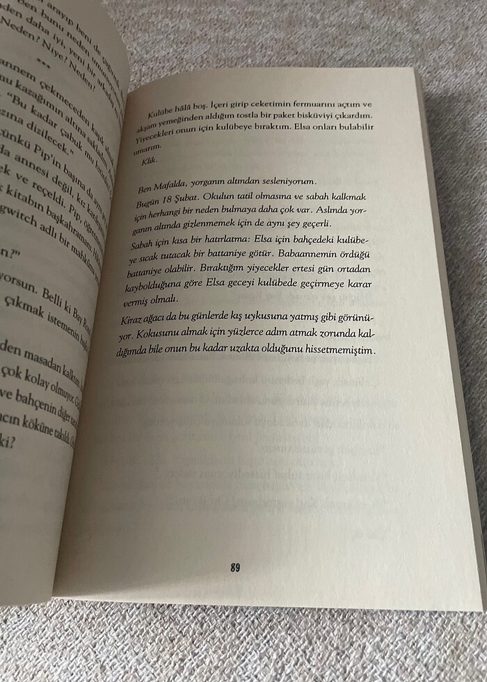 Flippo Ben ve Kiraz Ağacı - Görsel 5