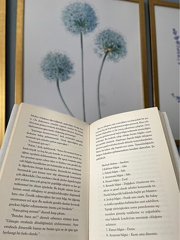Kızıl Dosya Arthur Conan Doyle