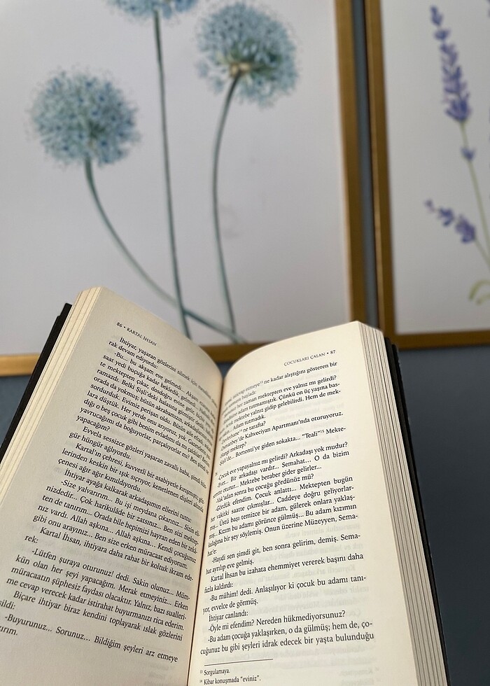 Kartal İhsanın Maceraları Erolüyepazarcı - Görsel 2