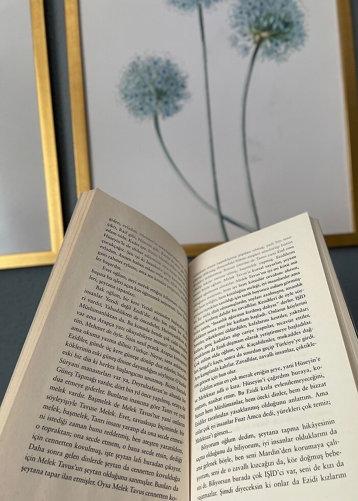 Livaneli Huzursuzluk kitabı - Görsel 2