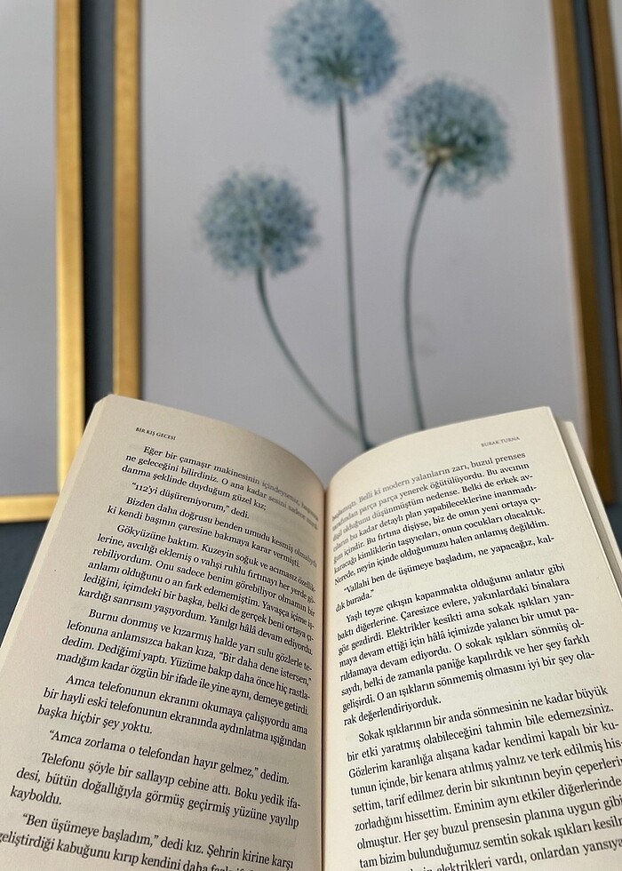 Bir Kış gecesi Burak Turna - Görsel 2