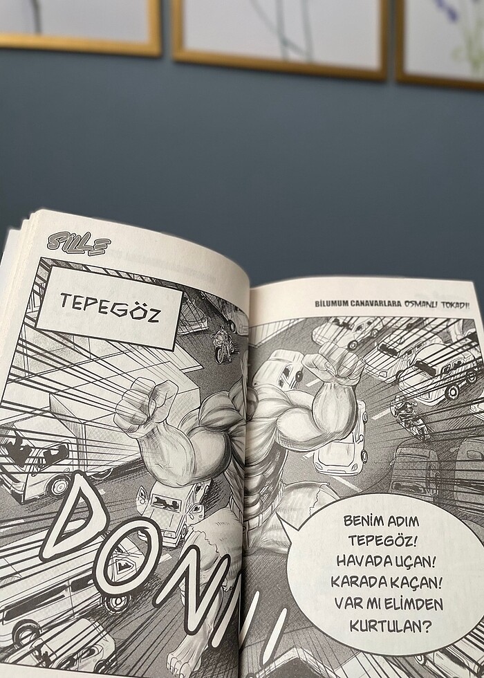 Sille kitabı Hüma Çalışkan - Görsel 2