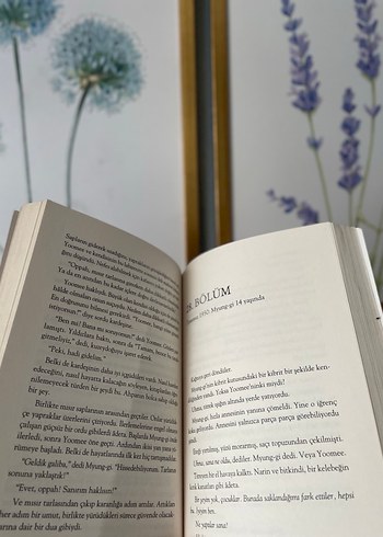 Julie Lee - Tünelde Roman - Görsel 2