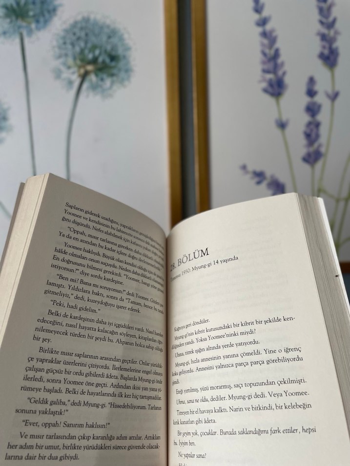 Julie Lee - Tünelde Roman - Görsel 2