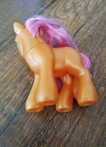 Beden Renk 2005 pony
